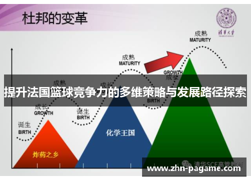 提升法国篮球竞争力的多维策略与发展路径探索