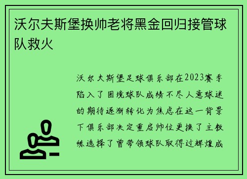 沃尔夫斯堡换帅老将黑金回归接管球队救火